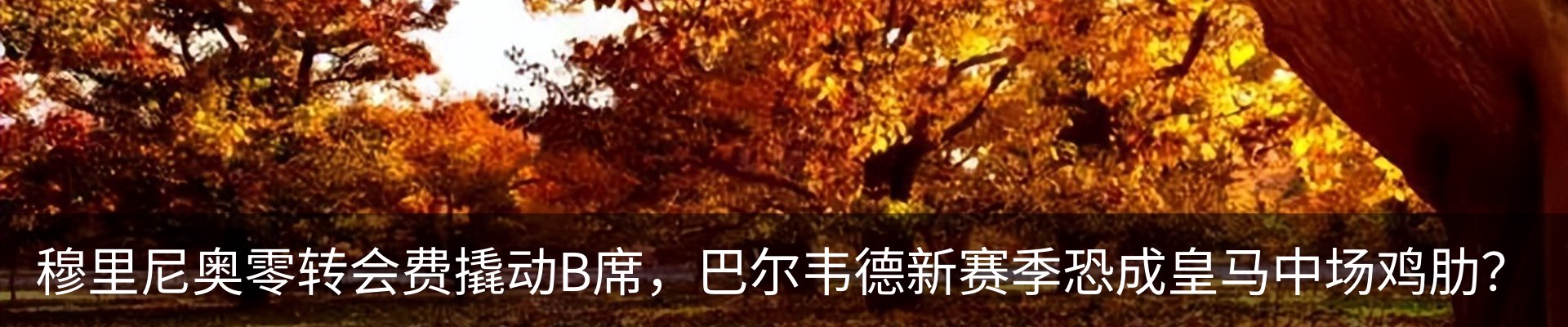 行业资讯