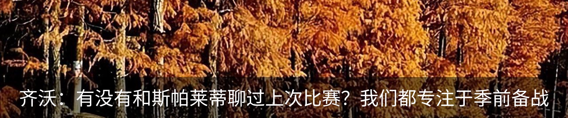 行业资讯