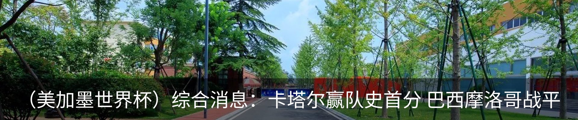 行业资讯